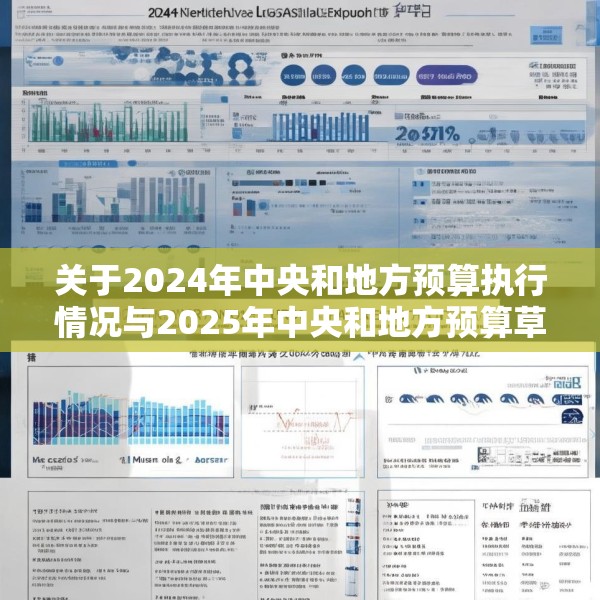 关于2024年中央和地方预算执行情况与2025年中央和地方预算草案的报告（摘要）