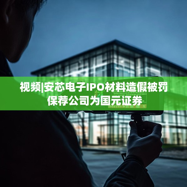 视频|安芯电子IPO材料造假被罚 保荐公司为国元证券