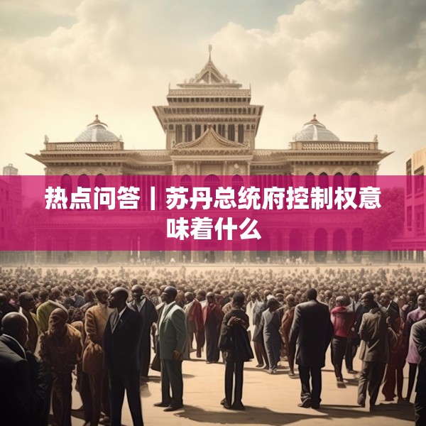 热点问答｜苏丹总统府控制权意味着什么