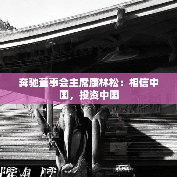 奔驰董事会主席康林松：相信中国，投资中国