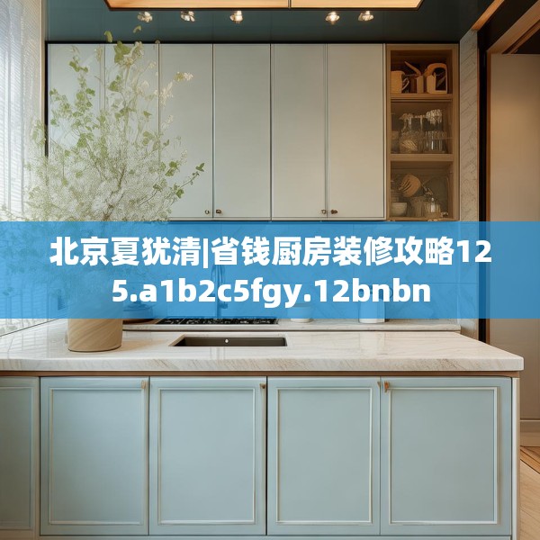 北京夏犹清|省钱厨房装修攻略125.a1b2c5fgy.12bnbn