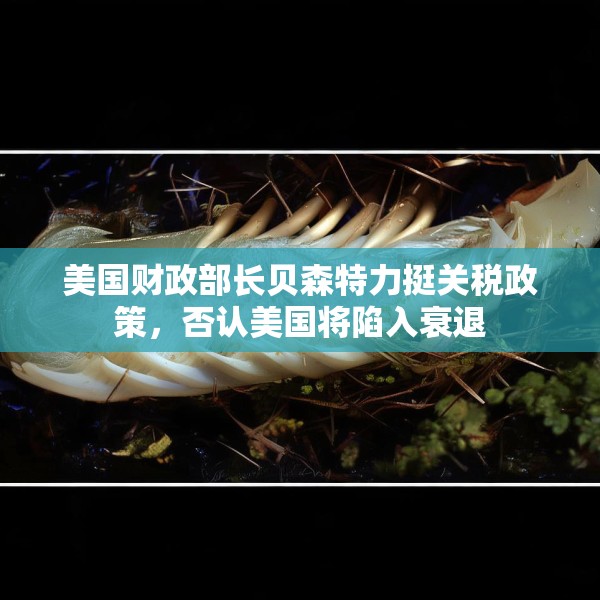 美国财政部长贝森特力挺关税政策，否认美国将陷入衰退