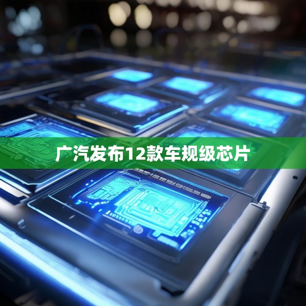 广汽发布12款车规级芯片