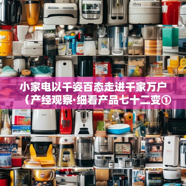 小家电以千姿百态走进千家万户（产经观察·细看产品七十二变①）