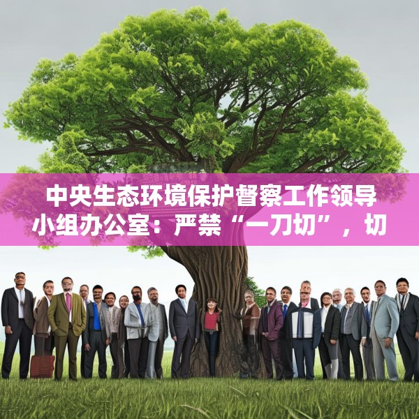 中央生态环境保护督察工作领导小组办公室：严禁“一刀切”，切实减轻基层负担