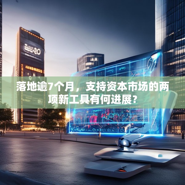 落地逾7个月，支持资本市场的两项新工具有何进展？