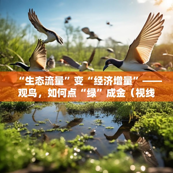 “生态流量”变“经济增量”——观鸟，如何点“绿”成金（视线）