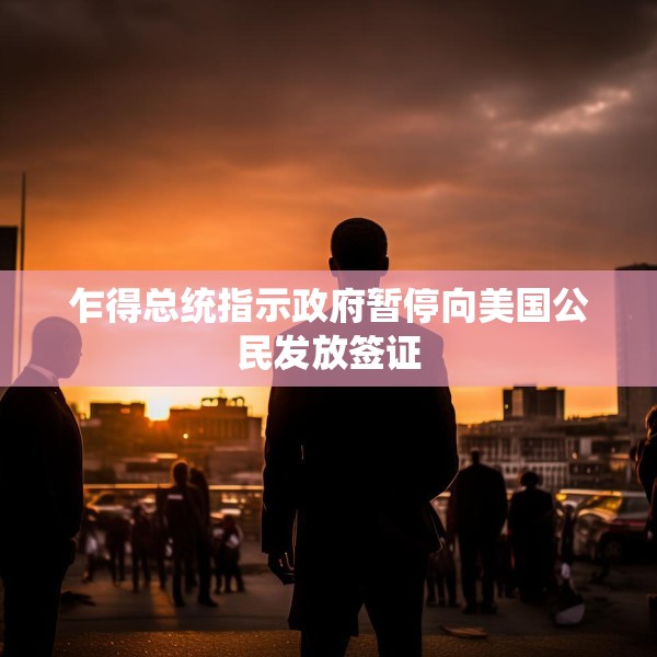 乍得总统指示政府暂停向美国公民发放签证
