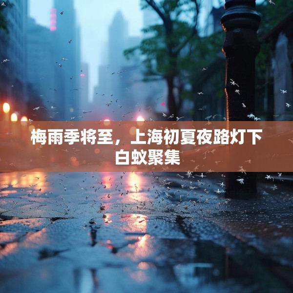 梅雨季将至，上海初夏夜路灯下白蚁聚集