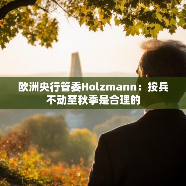 欧洲央行管委Holzmann：按兵不动至秋季是合理的