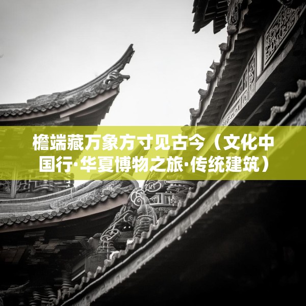 檐端藏万象方寸见古今（文化中国行·华夏博物之旅·传统建筑）