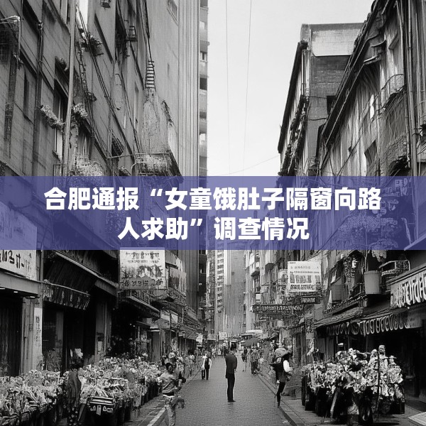 合肥通报“女童饿肚子隔窗向路人求助”调查情况