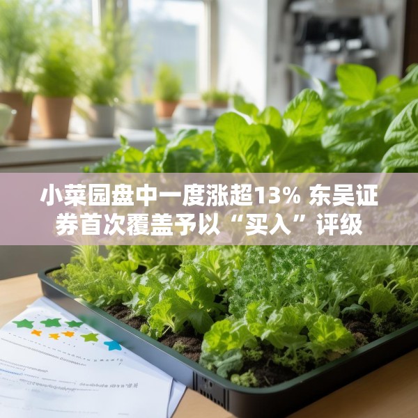 小菜园盘中一度涨超13% 东吴证券首次覆盖予以“买入”评级