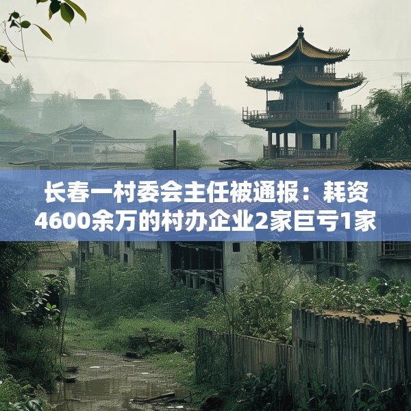 长春一村委会主任被通报：耗资4600余万的村办企业2家巨亏1家倒闭