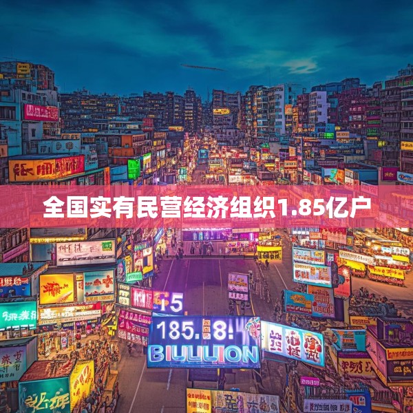 全国实有民营经济组织1.85亿户