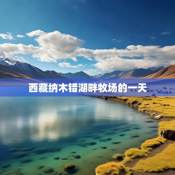 西藏纳木错湖畔牧场的一天