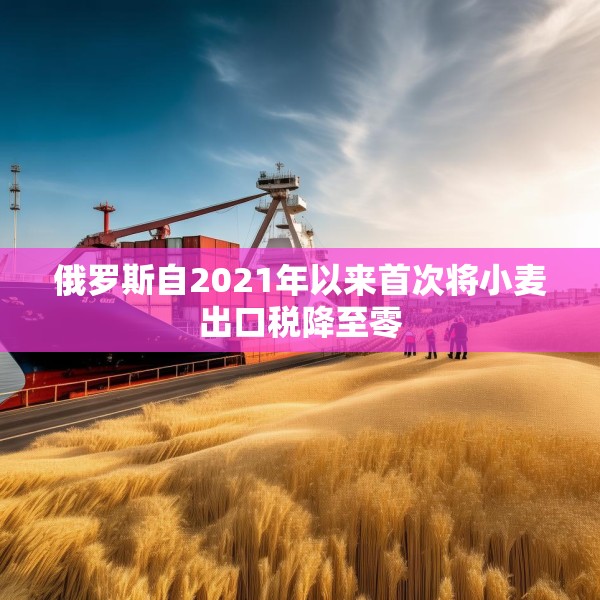俄罗斯自2021年以来首次将小麦出口税降至零
