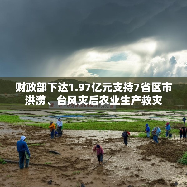 财政部下达1.97亿元支持7省区市洪涝、台风灾后农业生产救灾