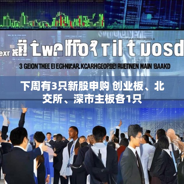 下周有3只新股申购 创业板、北交所、深市主板各1只