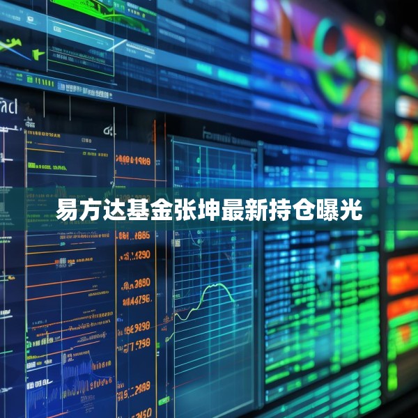 易方达基金张坤最新持仓曝光